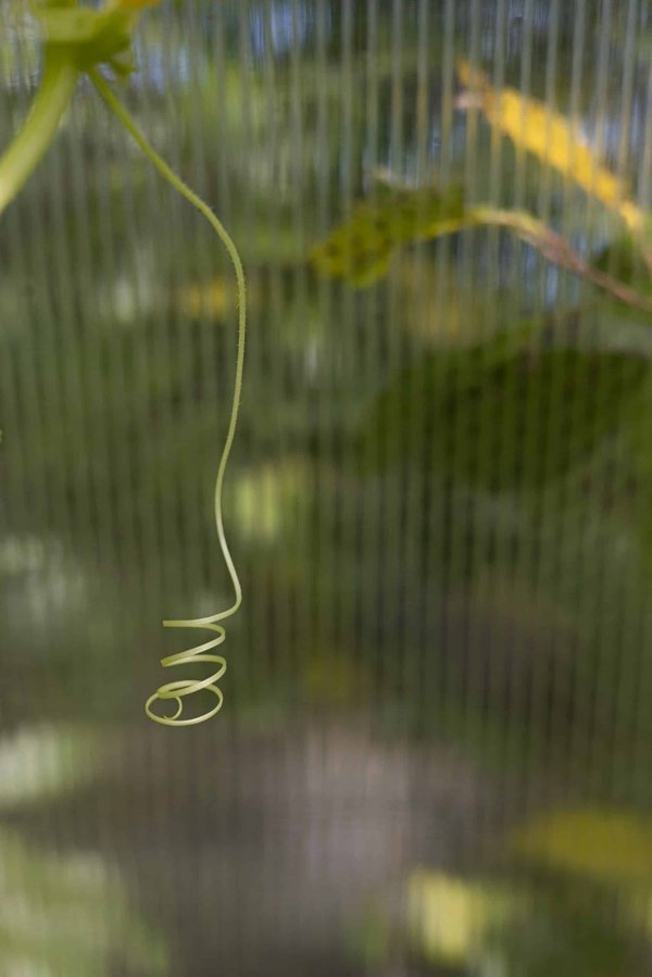 Quels sont les défis de la formation en adaptation au changement technologique pour les employés seniors ?